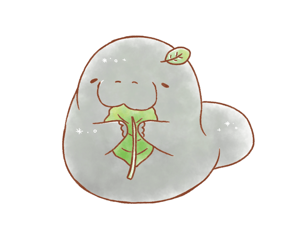 みいるかとは｜みいるか オフィシャルサイト